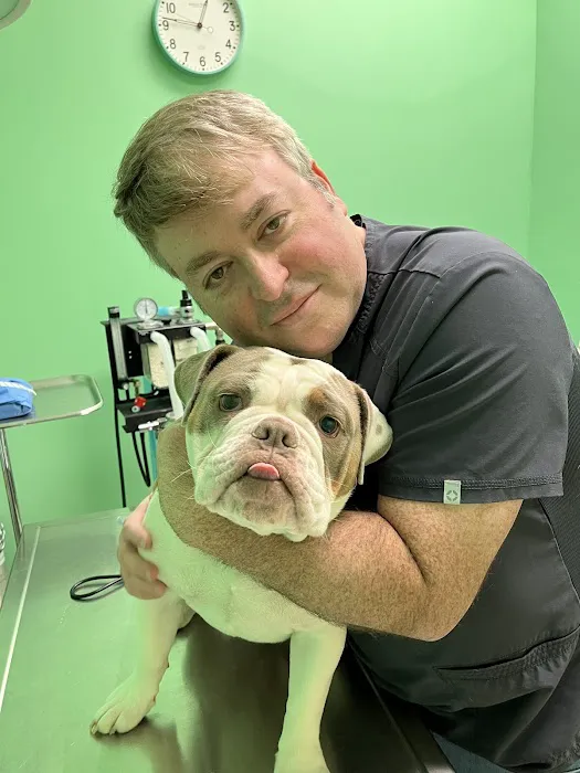 Misty Vistas Pet Hospital Picture 4