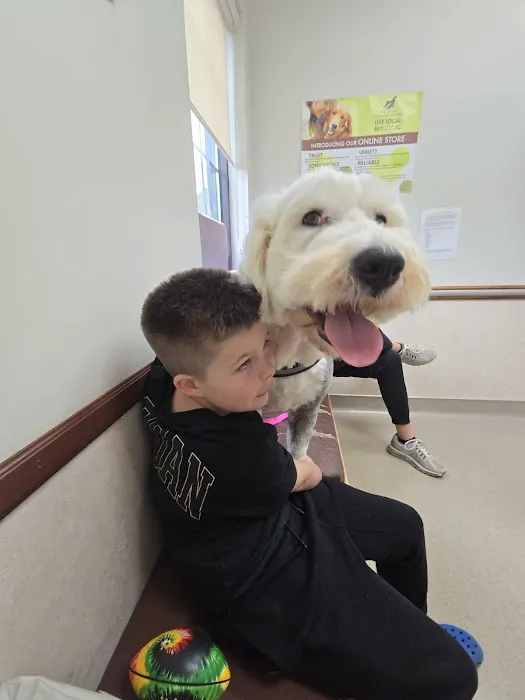 Kings Veterinary Hospital Picture 4