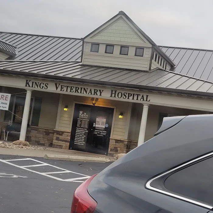 Kings Veterinary Hospital Picture 1