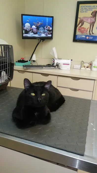 TLC Pet Care Centers Picture 1