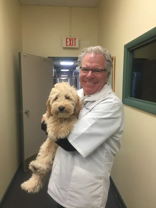 PetCare Animal Hospital Picture 4