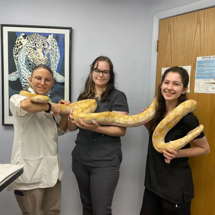 PetCare Animal Hospital Picture 9
