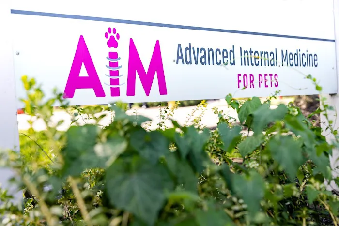 Advanced Internal Medicine for Pets Picture 9