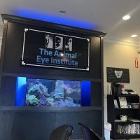 The Animal Eye Institute of Cincinnati ico