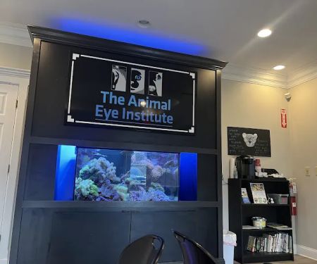 The Animal Eye Institute of Cincinnati