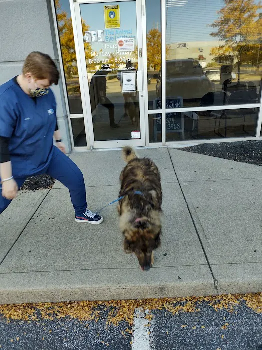 Animal Eye Institute of Cincinnati: Haeussler D J DVM Picture 3