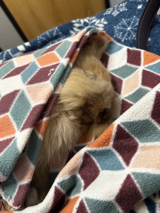 My Pet's Vet Mason Picture 1