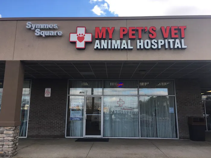 My Pet's Vet Mason Picture 6