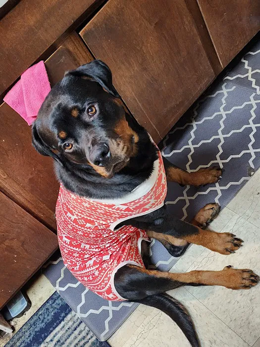 My Pet's Vet Mason Picture 9