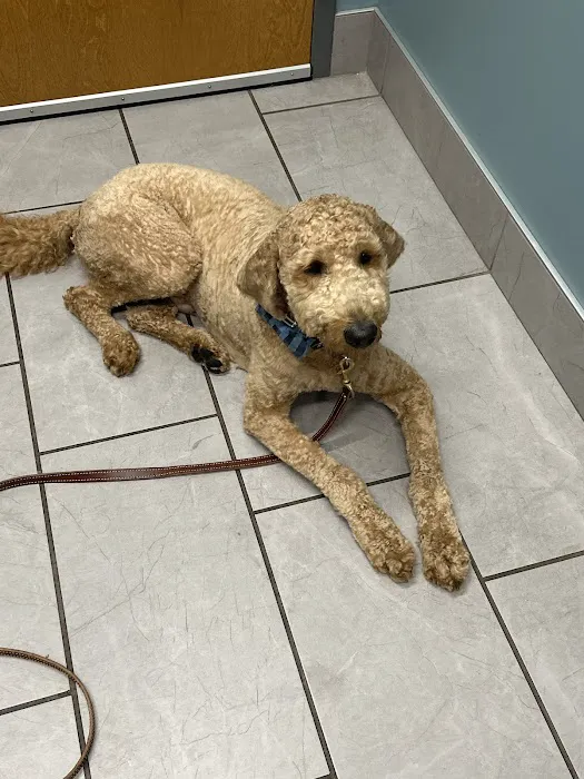Hopewell Animal Hospital Picture 1