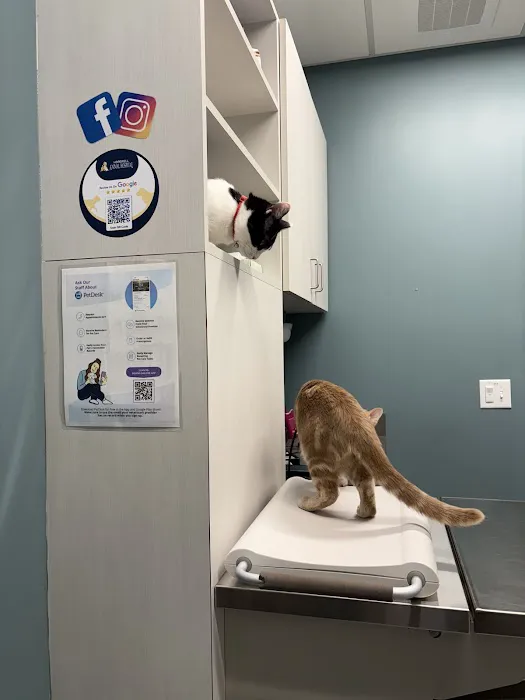 Hopewell Animal Hospital Picture 6