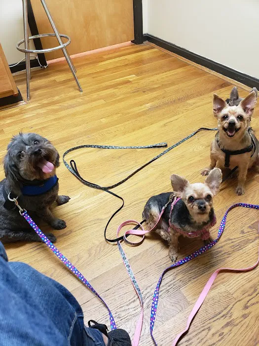 Warm Animal Hospital Picture 1