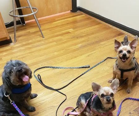 Warm Animal Hospital