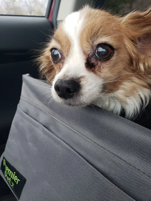 Warm Animal Hospital Picture 5