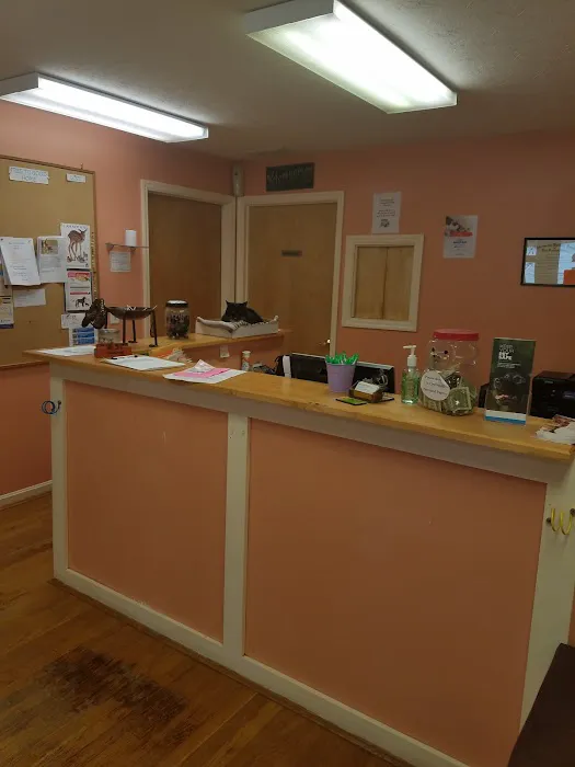 Warm Animal Hospital Picture 10