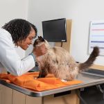 Banfield Pet Hospital