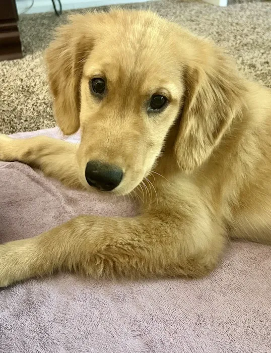 Banfield Pet Hospital Picture 10