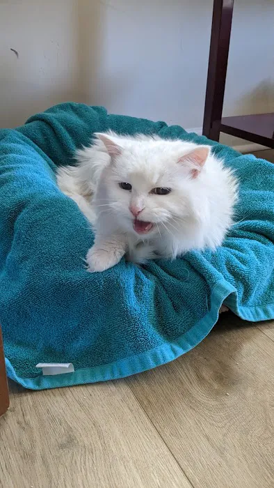 Banfield Pet Hospital Picture 3