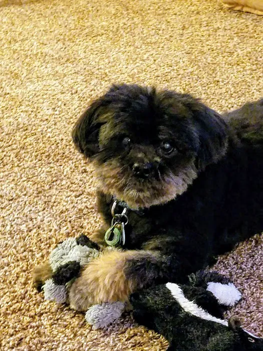 Mason Family Pet Hospital Picture 2