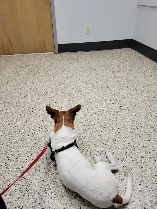 Mason Family Pet Hospital Picture 3
