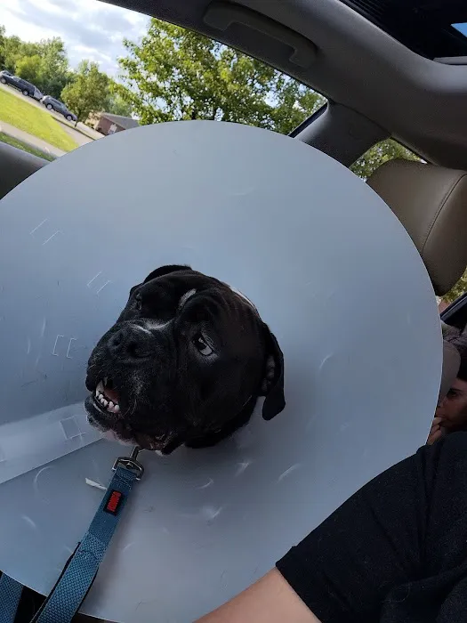 Mason Family Pet Hospital Picture 8