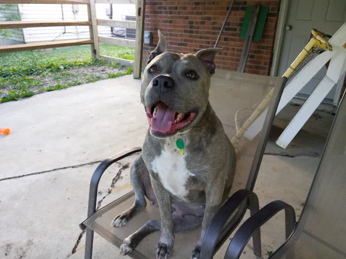 Mason Family Pet Hospital Picture 9