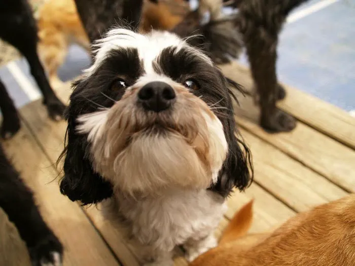 Mason Animal Hospital Picture 2
