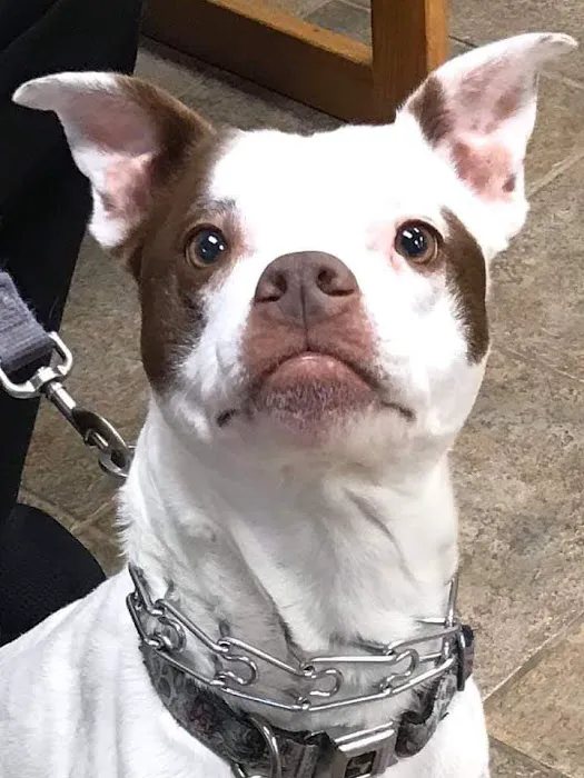 Mason Animal Hospital Picture 1