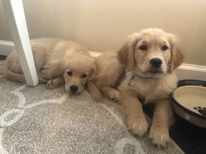 Mason Animal Hospital Picture 10