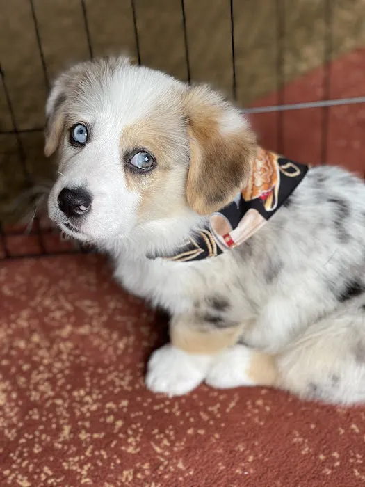 Mason Animal Hospital Picture 5