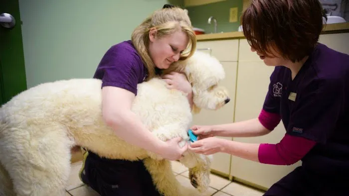 Lifetime Pet Center - New Richmond Picture 2