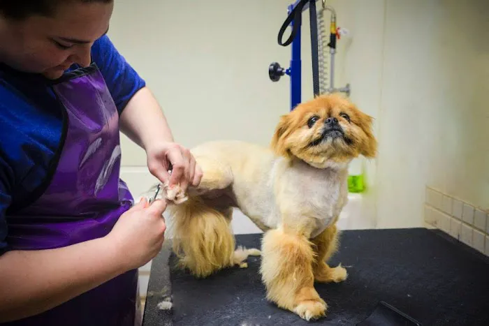 Lifetime Pet Center - New Richmond Picture 6