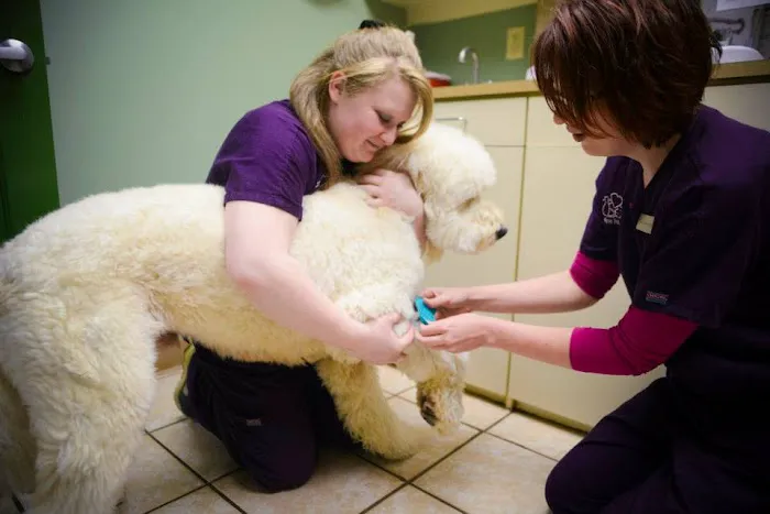 Lifetime Pet Center - New Richmond Picture 4