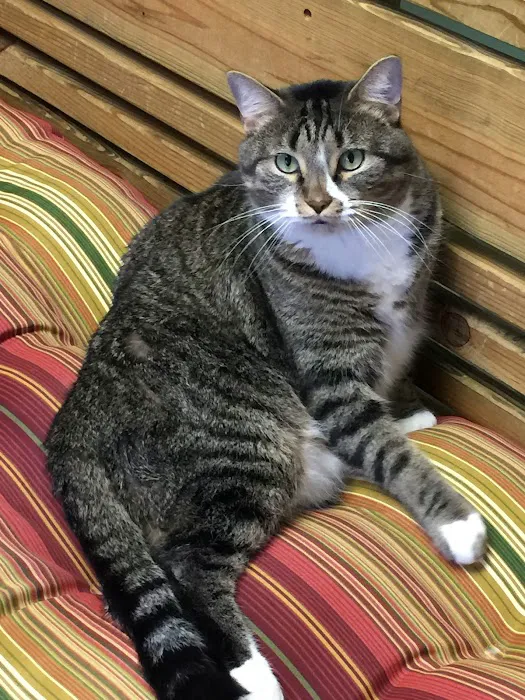Lifetime Pet Center - New Richmond Picture 8