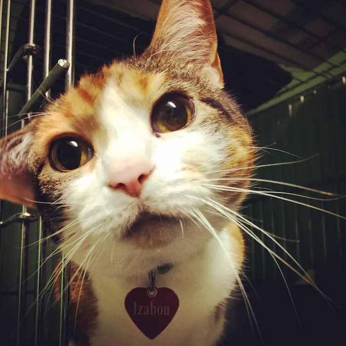 Lifetime Pet Center - New Richmond Picture 7