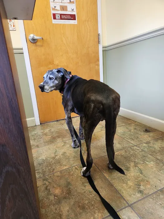 Park Plaza Animal Hospital Picture 2