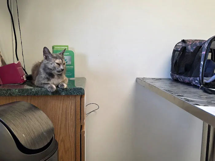 Fleming County Animal Hospital Picture 2