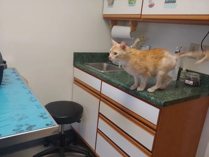 Fleming County Animal Hospital Picture 4
