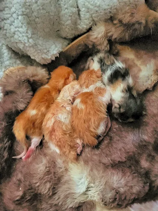Fleming County Animal Hospital Picture 7