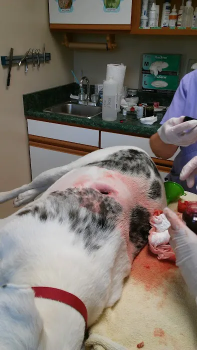 Fleming County Animal Hospital Picture 8