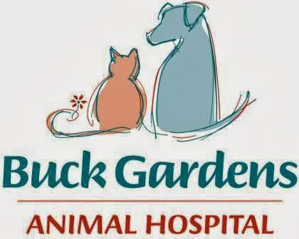 Buck Gardens Animal Hospital Picture 5