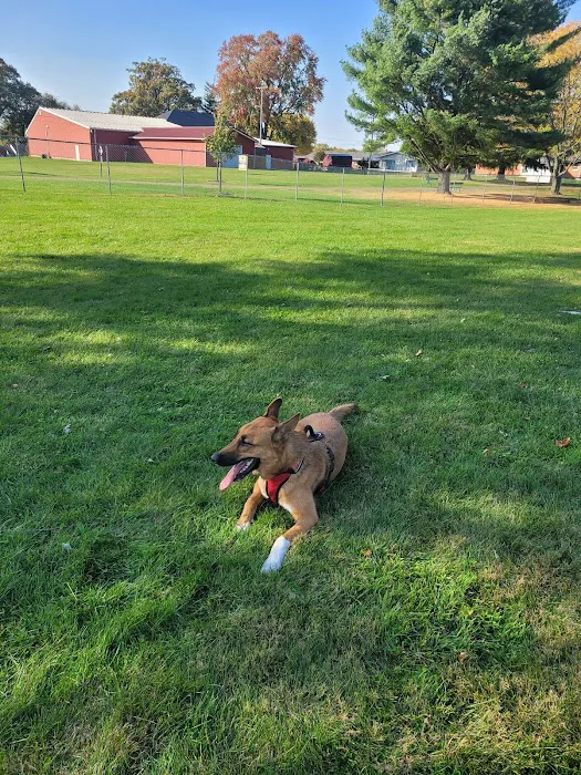 The Pet Clinic of Urbana Picture 6