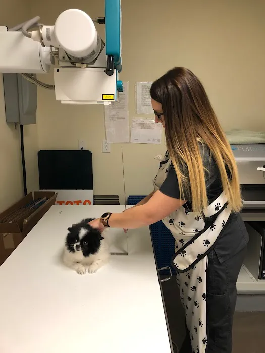 The Pet Clinic of Urbana Picture 9