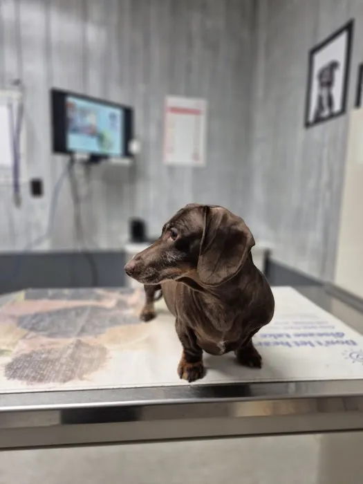 Urbana Veterinary Clinic Picture 2