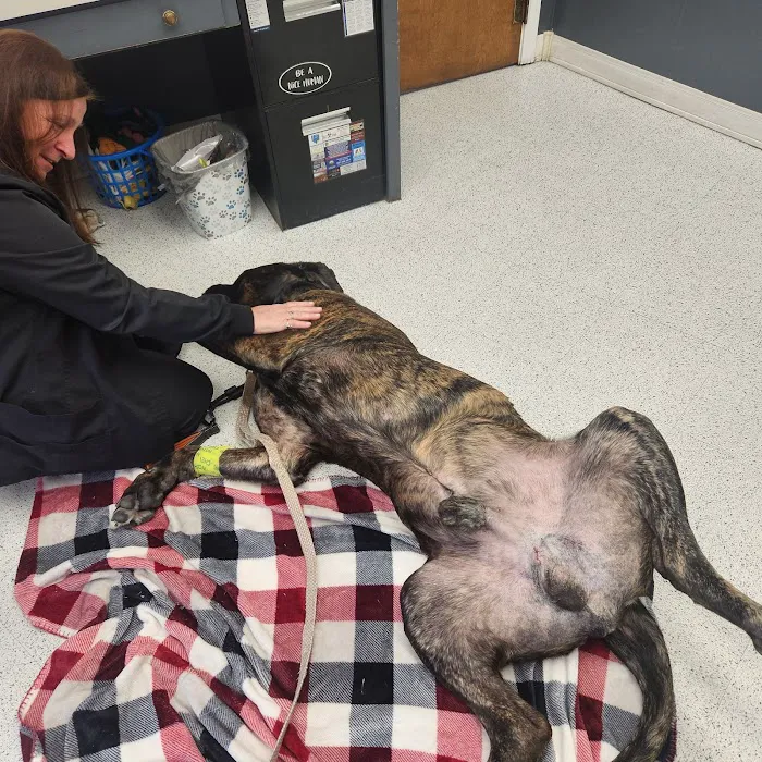 Urbana Veterinary Clinic Picture 8