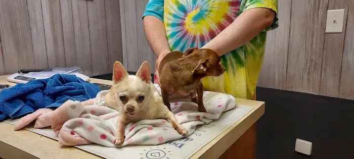 Urbana Veterinary Clinic Picture 7