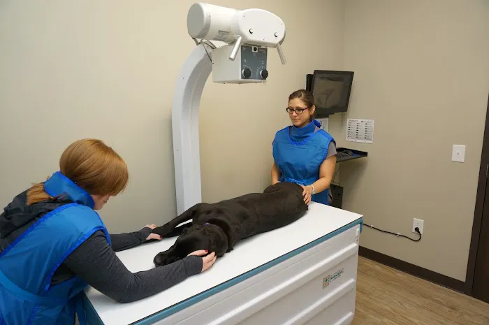 Faithful Friends Veterinary Clinic and Cat Specialty Center Picture 6