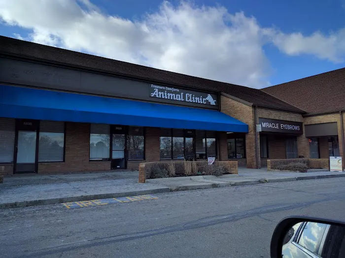 Creature Comforts Animal Clinic Picture 1