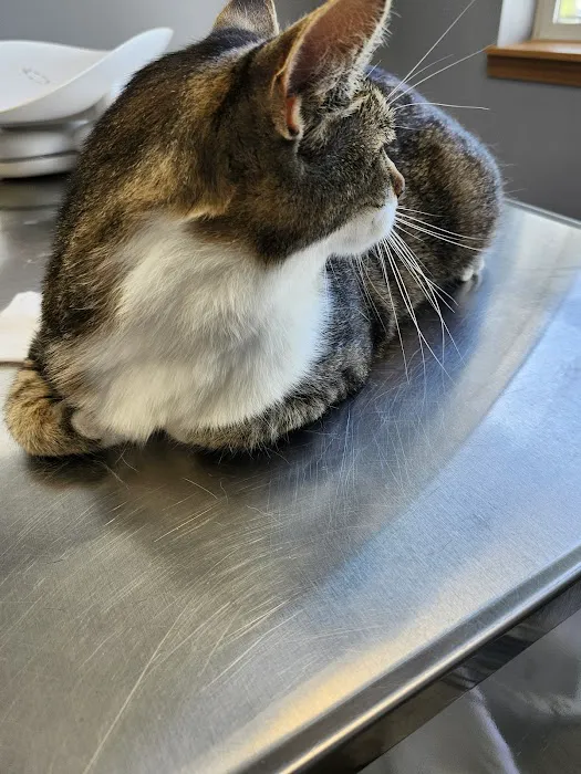 Darby Creek Veterinary Clinic, LLC Picture 5