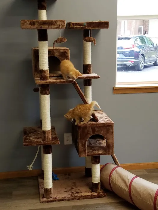Darby Creek Veterinary Clinic, LLC Picture 2